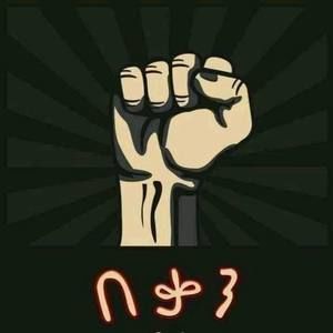 Meet your Posher, Abel